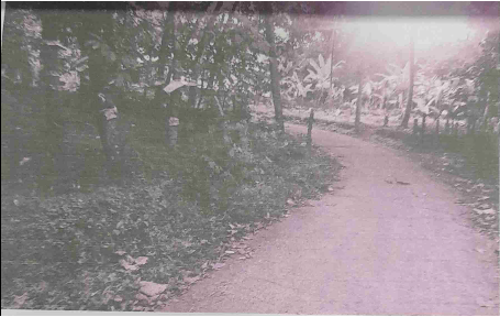 course